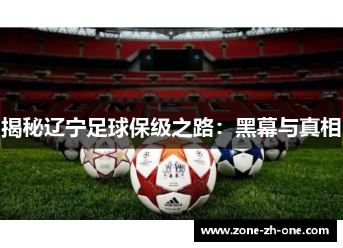 揭秘辽宁足球保级之路:黑幕与真相 揭秘辽宁足球保级之路:黑幕与真相
