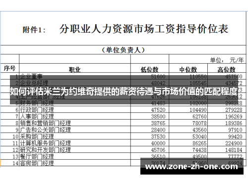 如何评估米兰为约维奇提供的薪资待遇与市场价值的匹配程度